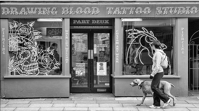 Blood Hound.jpg - Holbrook Panel 2013